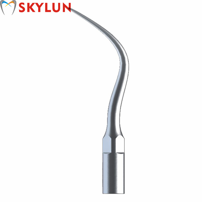 5PCS P4 Dental Ultrasonic Scal - Teeth Whitening Free recension och pris